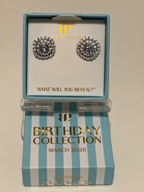 BP March 2026 earrings.  The Blair studs - Rhodium